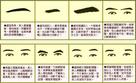 眉毛淡的面相|面相眉毛：相学眉毛图解相法绝学